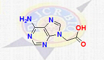 6-Amino-9H-purine-9-acetic Acid  |  20128-29-4