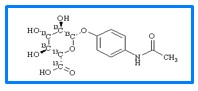 Acetamidophen glucuronide-13C6