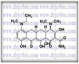 7-Ethylmethylamino Analogue