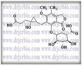Mycophenolic acid glucuronide cyclopropane analogue
