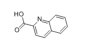 Quinaldic acid  | 93-10-7