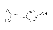 3-(4-Hydroxyphenyl)propionic acid  |  501-97-3