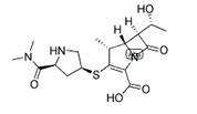 Meropenem  |  96036-03-2