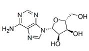 Adenosine  |  58-61-7