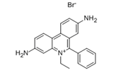 Ethidium bromide  |  1239-45-8