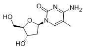 5-Methyl-2'-deoxycytidine  |  838-07-3