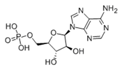 Vidarabine monophosphate  |  29984-33-6