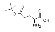 L-Glutamic acid 5-tert-butyl ester  |  2419-56-9