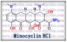 [4S-(4α,4aα,5aα,12aα)]-4,7-Bis(dimethyl­amino)-1,4,4a,5,5a,6,11,12a-octahydro-3,10,12,12a,­tetrahydroxy-1,11-dioxo-2-naphthacenecarboxamide [Minocyclin HCl]