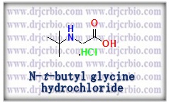 N-t-butyl glycine hydrochloride; 2-(tert-butyl amino) aceticacid HCl