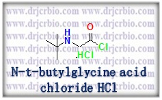 N-t-Butylglycine acid chloride hydrochloride, 2-[(tert-Butyl)amino]acetyl chloride hydrochloride