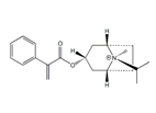 Ipratropium EP Impurity F ; (1R,3r,5S,8r)-8-Methyl-8-(1-methylethyl)-3-[(2-phenylpropenoyl)oxy]-8-azoniabicyclo[3.2.1]octane