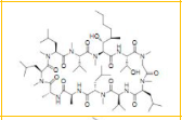 Dihydrocyclosporin C   |  63556-13-0