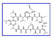 Cyclosporin C ;  Thr2-cyclosporine; Cyclo[L-alanyl-D-alanyl-N-methyl-L-leucyl-N-methyl-L-leucyl-N-methyl-L-valyl-3-hydroxy-N,4-dimethyl-L-2-amino-6-octenoyl-L-threonyl-N-methylglycyl-N-methyl-L-leucyl-L-valyl-N-methyl-L-leucyl]; (3R,4R)-3-Hydroxy-N-methyl-5-[(E)-1-propenyl]-cyclo(L-Leu-L-Thr-Sar-N-methyl-L-Leu-L-Val-N-methyl-L-Leu-L-Ala-D-Ala-N-methyl-L-Leu-N-methyl-L-Leu-N-methyl-L-Val-) |  59787-61-0