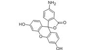 4-Aminofluorescein  | 3326-34-9