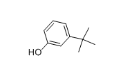 3-tert-Butylphenol  | 585-34-2