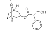 Atropine  |  51-55-8