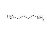 1,4-Diaminobutane  |  110-60-1