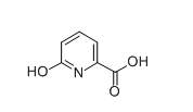 6-Hydroxypicolinic acid | 19621-92-2