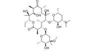 (-)-Erythromycin  |  114-07-8