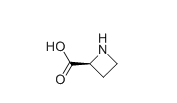 (S)-(-) Azetidine-2-carboxylic acid  | 2133-34-8