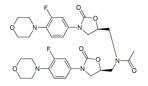 Linezolid Dimer  ;N,N-bis{[[(5S)-3-[3-Fluoro-4-(4-morpholinyl)phenyl]-2-oxo-5-oxazolidinyl] methyl]} acetamide | 908143-04-4 | Linezolid Impurity