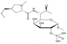 Clindamycin Phosphate ;Clindamycin 2-Phosphate ; Methyl 7-chloro-6,7,8-trideoxy-6-[[[(2S,4R)-1-methyl-4-propylpyrrolidin-2-yl]carbonyl]amino]-1-thio-L-threo-α-D-galacto-octopyranoside 2-(dihydrogen phosphate) | 24729-96-2 