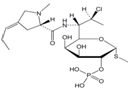Clindamycin Phosphate EP Impurity J ;Clindamycin Phosphate Propylidene Analog ; Methyl 7-chloro-6,7,8-trideoxy-6-[[[(2S)-1-methyl-4-propylidenepyrrolidin-2-yl] carbonyl]amino]-2-O-phosphono-1-thio-L-threo-α-D-galacto-octopyranoside