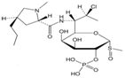 Clindamycin Phosphate Sulfoxide ;Clindamycin 2-Phosphate Sulfoxide ; 7-Chloro-1,6,7,8-tetradeoxy-6-[[[(2S,4R)-1-methyl-4-propyl-2-pyrrolidinyl] carbonyl]amino]-1-(methylsulfinyl)-L-threo-α-D-galactooctopyranose 2-(dihydrogen phosphate) |  1228573-90-7