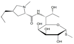 Clindamycin Phosphate EP Impurity A ; Clindamycin HCl EP Impurity A ; Lincomycin (USP) ;  Methyl 6,8-dideoxy-6-[[[(2S,4R)-1-methyl-4-propylpyrrolidin-2-yl]carbonyl] amino]-1-thio-D-erythro-α-D-galacto-octopyranoside |  154-21-2