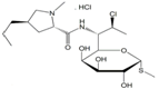 Clindamycin Phosphate EP Impurity E ; Methyl 7-chloro-6,7,8-trideoxy-6-[[[(2S,4R)-1-methyl-4-propylpyrrolidin-2-yl]carbonyl]amino]-1-thio-L-threo-α-D-galacto-octopyranoside hydrochloride | 21462-39-5