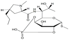 Clindamycin Phosphate EP Impurity G ; 2,4-Phosphatidyl Lincomycin ; Methyl 6,8-dideoxy-2,4-O-(hydroxyphosphoryl)-6-[[[(2S,4R)-1-methyl-4-propyl-2-pyrrolidinyl] carbonyl]amino]-1-thio-D-erythro-α-D-galacto-octopyranoside