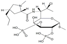 Clindamycin Phosphate EP Impurity H ; Clindamycin 2,3-Bisphosphate ; Methyl 7-chloro-6,7,8-trideoxy-6-[[[(2S,4R)-1-methyl-4-propyl-2-pyrrolidinyl] carbonyl]amino]-2,3-di-O-phosphono-1-thio-L-threo-α-D-galacto-octopyranoside