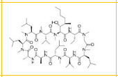 Dihydrocyclosporin A  |  59865-15-5