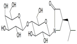 Pregabalin Lactam Lactose Adduct ; (4R)-1-(4-O-β-D-Galactopyranosyl-β-D-glucopyranosyl)-4-(2-methylpropyl)-2-pyrrolidinone ; | 501665-88-9