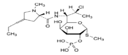 Dehydroclindamycin phosphate ;Methyl7-chloro-6,7,8-trideoxy-6-[[[(2S)-1-methyl-4-propylidenepyrrolidin-2-yl]carbonyl]amino]-2-O-phosphono-1-thio-L-threo-α-D-galacto-octopyranoside  | 1309349-64-1