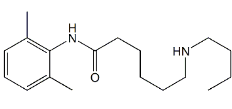Bupivacaine EP Impurity E ; Bupivacaine USP RC A ; 6-(Butylamino)-N-(2,6-dimethylphenyl)hexanamide   |    1330172-81-0