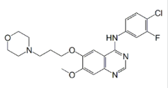 GefitinibEPImpurityB;N-(4-Chloro-3-fluorophenyl)-7-methoxy-6-[3-(4-morpholinyl)propoxy]-4-quinazolinamine  |1603814-04-5