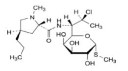 Clindamycin ;Methyl 7-Chloro-6,7,8-trideoxy-6-[[[(2S,4R)-1-methyl-4-propyl-2-pyrrolidinyl]carbonyl]amino]-1-thio-L-threo-α-D-galacto-octopyranoside; 7(S)-Chloro-7-deoxylincomycin; 7-CDL; 7-Chloro-7-deoxylincomycin; 7-Chlorolincomycin; 7-Deoxy-7(S)-chlorolincomycin; Antirobe; Chlolincocin; Cleocin; Clincin; ClindaDerm; Clindam; Clinimycin; Dalacin C; Dalacin V; Dalacine; Klimicin; Klindan 300; Sobelin; U 21251;(2S-trans)-Methyl7-Chloro-6,7,8-trideoxy-6-[[(1-methyl-4-propyl-2-pyrrolidinyl)carbonyl]amino]-1-thio-L-threo-α-D-galacto-octopyranoside|18323-44-9
