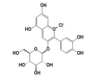 Cyanidin 3-O-glucoside chloride/7084-24-4