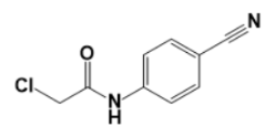 2-chloro-N-(4-cyanophenyl)acetamide