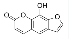 XANTHOTOXOL ;9-Hydroxy-7H-furo[3,2-g][1]benzopyran-7-one; 6,7-Dihydroxy-5-benzofuranacrylic Acid δ-Lactone; 3-(6,7-Dihydroxy-5-benzofuranyl)-2-propenoic Acid δ-Lactone; 8-Hydroxypsoralen |2009-24-7