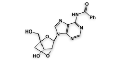 LNA-N6-Bz-A ;N6-Benzoyl-2'-O,4'-C-methyleneadenosine  |209968-94-5