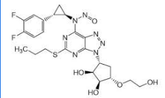Nitrosamine Ticagrelor;N-((1R,2S)-2-(3,4-Difluorophenyl)cyclopropyl)-N-(3-((1R,2S,3S,4S)-2,3-dihydroxy-4-(2-hydroxyethoxy)cyclopentyl)-5-(propylthio)-3H-[1,2,3]triazolo[4,5-d]pyrimidin-7-yl)nitrous amide; 1,2-Cyclopentanediol, 3-[7-[[(1R,2S)-2-(3,4-difluorophenyl)cyclopropyl]nitrosoamino]-5-(propylthio)-3H-1,2,3-triazolo[4,5-d]pyrimidin-3-yl]-5-(2-hydroxyethoxy)-, (1S,2S,3R,5S);|2476859-55-7