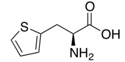 H-Thi-OH ;3-(2-Thienyl)-L-alanine | 22951-96-8