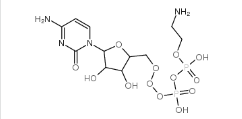 Cytidine-5’-diphospho ethanolamine ;CDP-Ethanolamine Cytidin-5'-diphosphorsaeure-aethanolamin cytidine 5'-diphosphoethanolamine 2-aminoethoxy-[[5-(4-amino-2-oxo-pyrimidin-1-yl)-3,4-dihydroxy-oxolan-2-yl]methoxy-hydroxy-phosphoryl]oxy-phosphinic acid  |3036-18-8