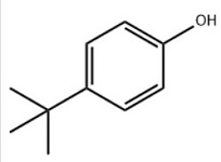 4-tert-Butylphenol/98-54-4
