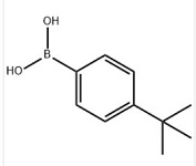 4-tert-Butylphenylboronic acid/123324-71-0
