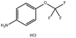 4-(Trifluoromethoxy)aniline hydrochloric acid |42823-24-5