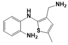 5-methyl-2- [(2-aminophenyl) amino] -3-aminomethylthiophene
